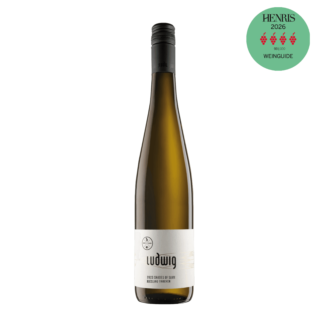 Weingut Gebr. Ludwig Thörnicher Ritsch 'Shades of slate' trocken 2023 — Mosel